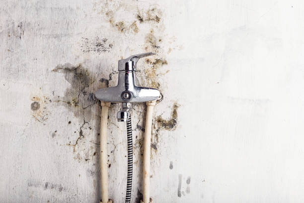 Homeland, GA Mold Removal Company