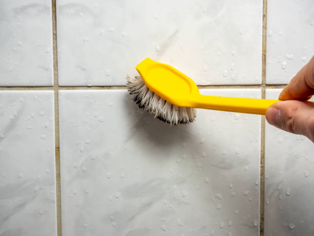  Homeland, GA Mold Removal Pros