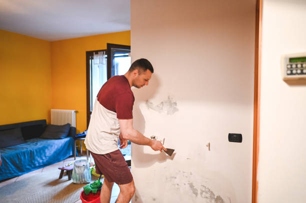 Best Professional Mold Removal  in Homeland, GA